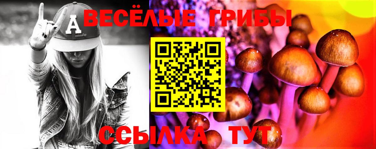 Галлюциногенные грибы Psilocybine cubensis  Галлюциногенные грибы Cubensis  Бахчисарай  Вход с VPN 